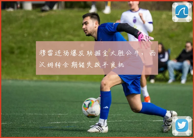 米乐体育电脑版赛事图片