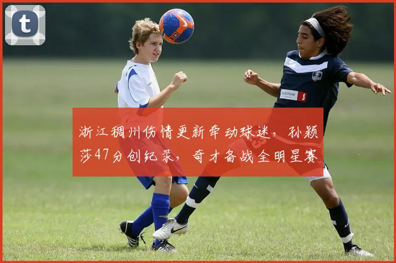 米乐体育电脑版赛事图片